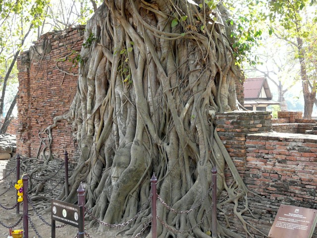 Wat Mahathat face from side